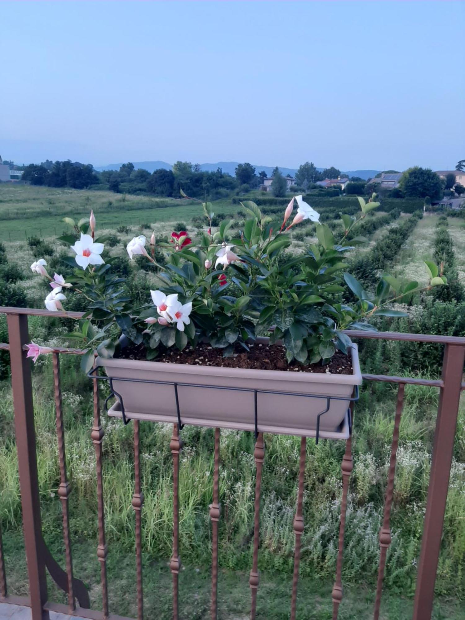 Bed And Breakfast Ca Tognella Pescantina Exterior photo